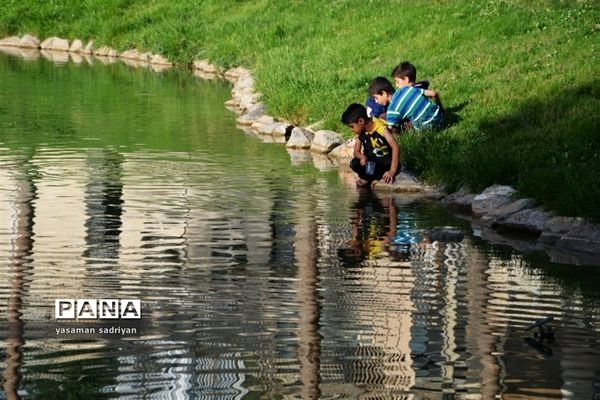 تصاویرمنتخب عکاسان دانش‌آموز کانون پرورش فکری کرمانشاه