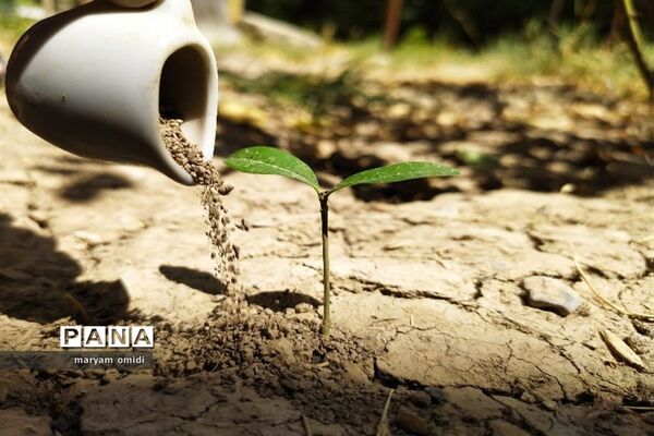 تصاویرمنتخب عکاسان دانش‌آموز کانون پرورش فکری کرمانشاه