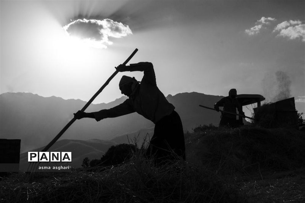 تصاویرمنتخب عکاسان دانش‌آموز کانون پرورش فکری کرمانشاه