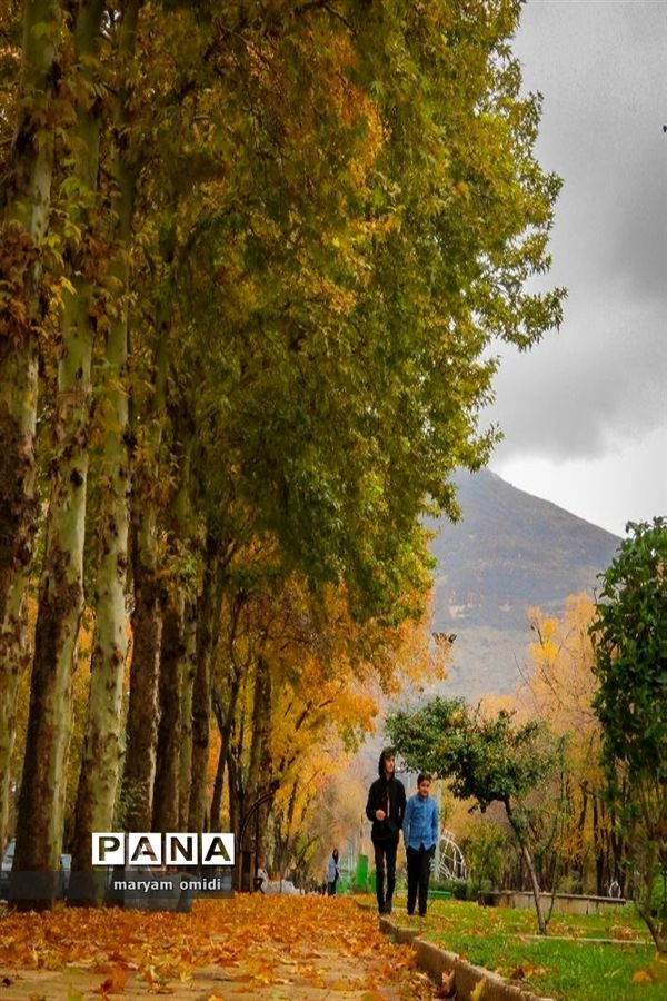 تصاویرمنتخب عکاسان دانش‌آموز کانون پرورش فکری کرمانشاه