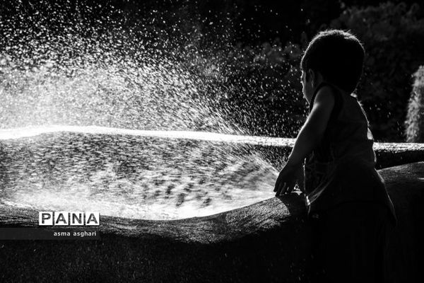 تصاویرمنتخب عکاسان دانش‌آموز کانون پرورش فکری کرمانشاه