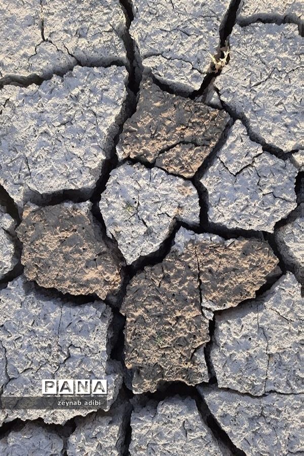 تصاویرمنتخب عکاسان دانش‌آموز کانون پرورش فکری کرمانشاه