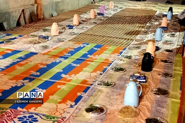 ضیافت افطاری و نشست صمیمی جمعی از نخبگان با امام جمعه شهرستان پردیس