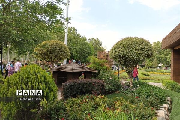 جشنواره گل‌های لاله
