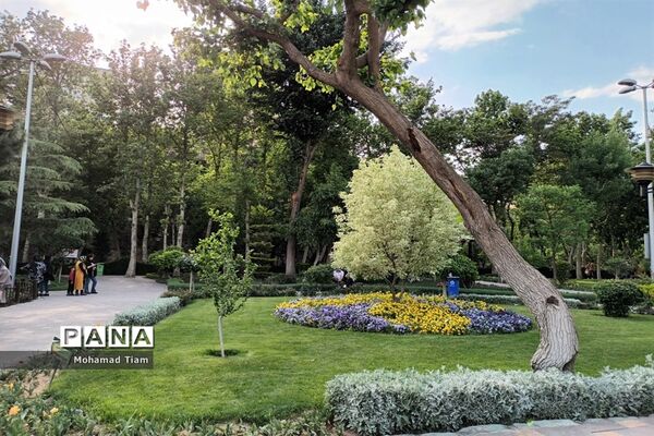 جشنواره گل‌های لاله