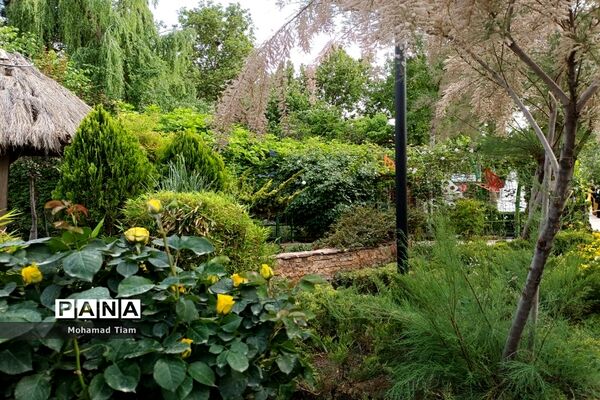 جشنواره گل‌های لاله