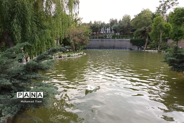 جشنواره گل‌های لاله