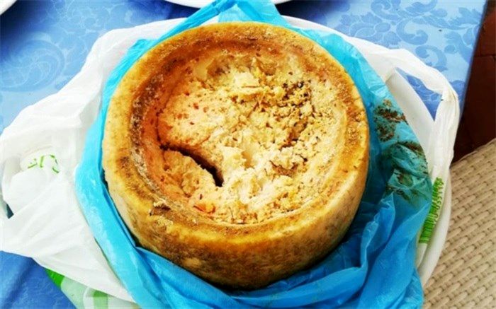 با خطرناک‌ترین پنیر جهان آشنا شوید
