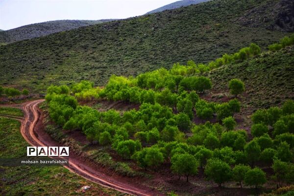 طبیعت بهاری آبگرم قزوین