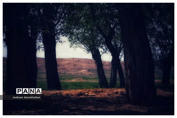 طبیعت بهاری آبگرم قزوین