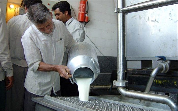 هیچ کمبودی در تولید شیر خام نداریم