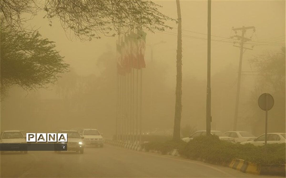 مدارس شهرستان انار بر اثر ریزگرد و آلودگی هوا تعطیل شد