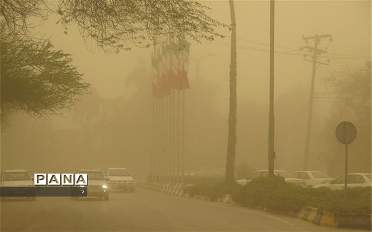 مدارس شهرستان انار بر اثر ریزگرد و آلودگی هوا تعطیل شد