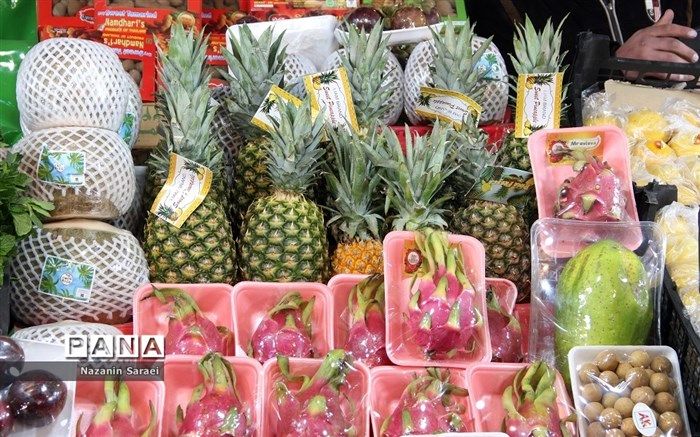 کدام غذاها حاوی آهن هستند؟