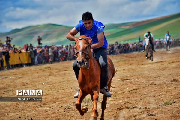 جشنواره‌ای با فرهنگ غنی عشایر