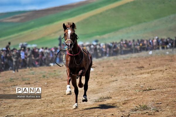 جشنواره‌ای با فرهنگ غنی عشایر