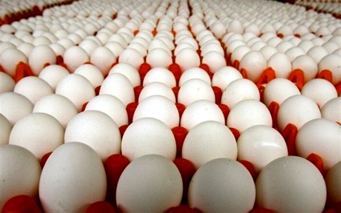 زمان عرضه تخم‌مرغ در میادین میوه‌ و تره‌بار اعلام شد