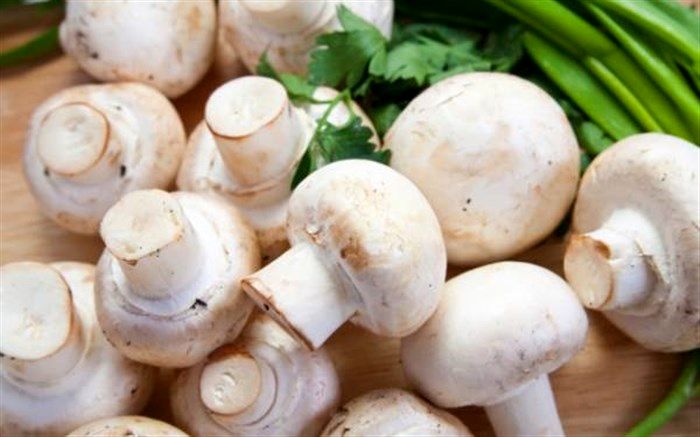 اعلام قیمت انواع قارچ  و جوانه در میادین میوه و تره‌بار