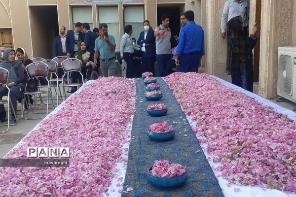 کاشان پایتخت گل و گلاب