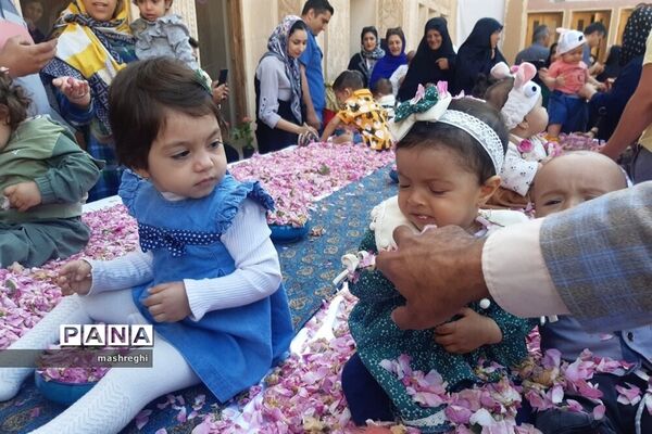 کاشان پایتخت گل و گلاب