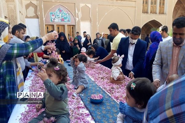 کاشان پایتخت گل و گلاب