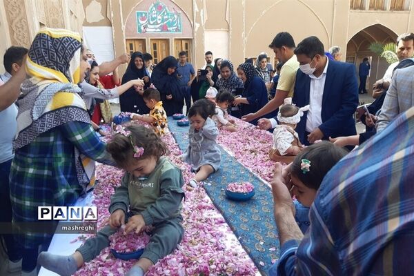 کاشان پایتخت گل و گلاب