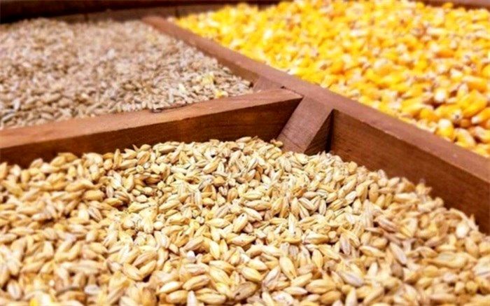 آخرین مهلت تعیین‌تکلیف ثبت سفارش نهاده‌های دامی اعلام شد