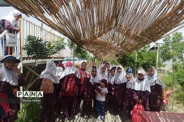 اردوی گردشی و علمی دانش‌آموزان رودهن در مزرعه خورشید دماوند