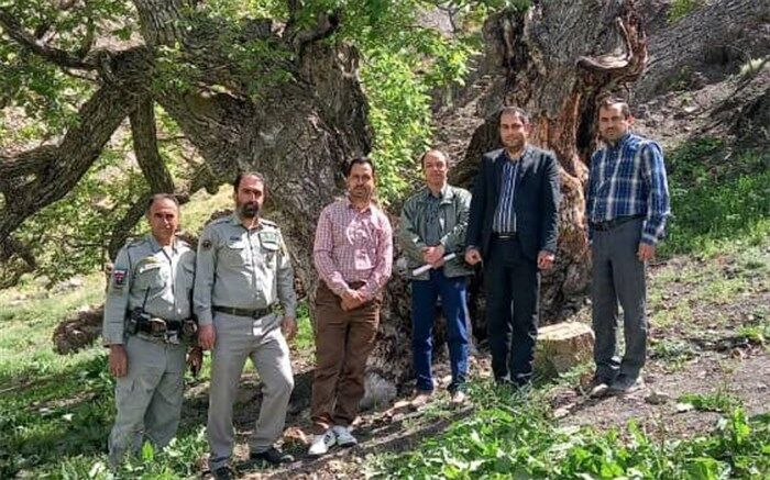 حفظ آثار فرهنگی و گردشگری، حفاظت از سرمایه‌های محیطی و ارزشی کشور است