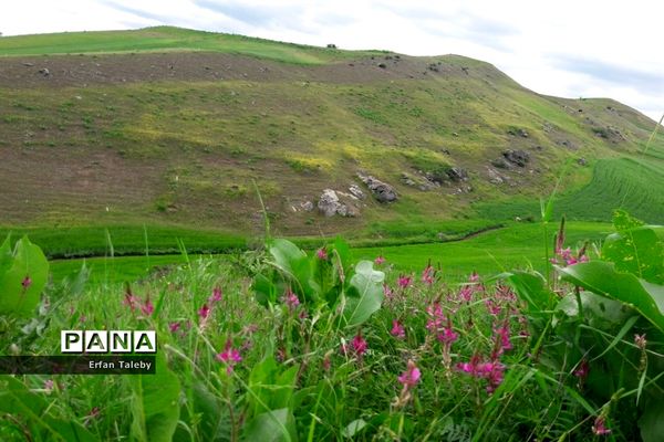طبیعت زیبای بهاری روستای قیه باشی بزرگ شهرستان کلیبر