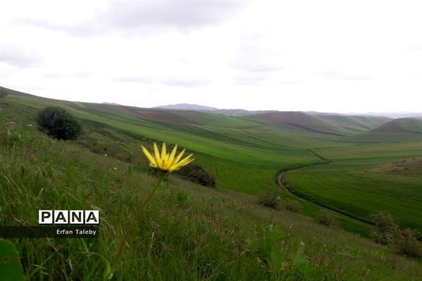 طبیعت زیبای بهاری روستای قیه باشی بزرگ شهرستان کلیبر