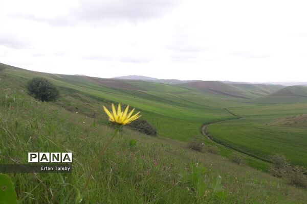 طبیعت زیبای بهاری روستای قیه باشی بزرگ شهرستان کلیبر