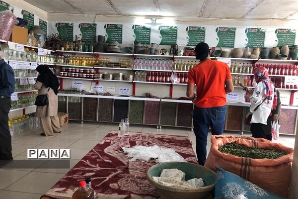 برگزاری مراسم گلاب گیری در کاشان