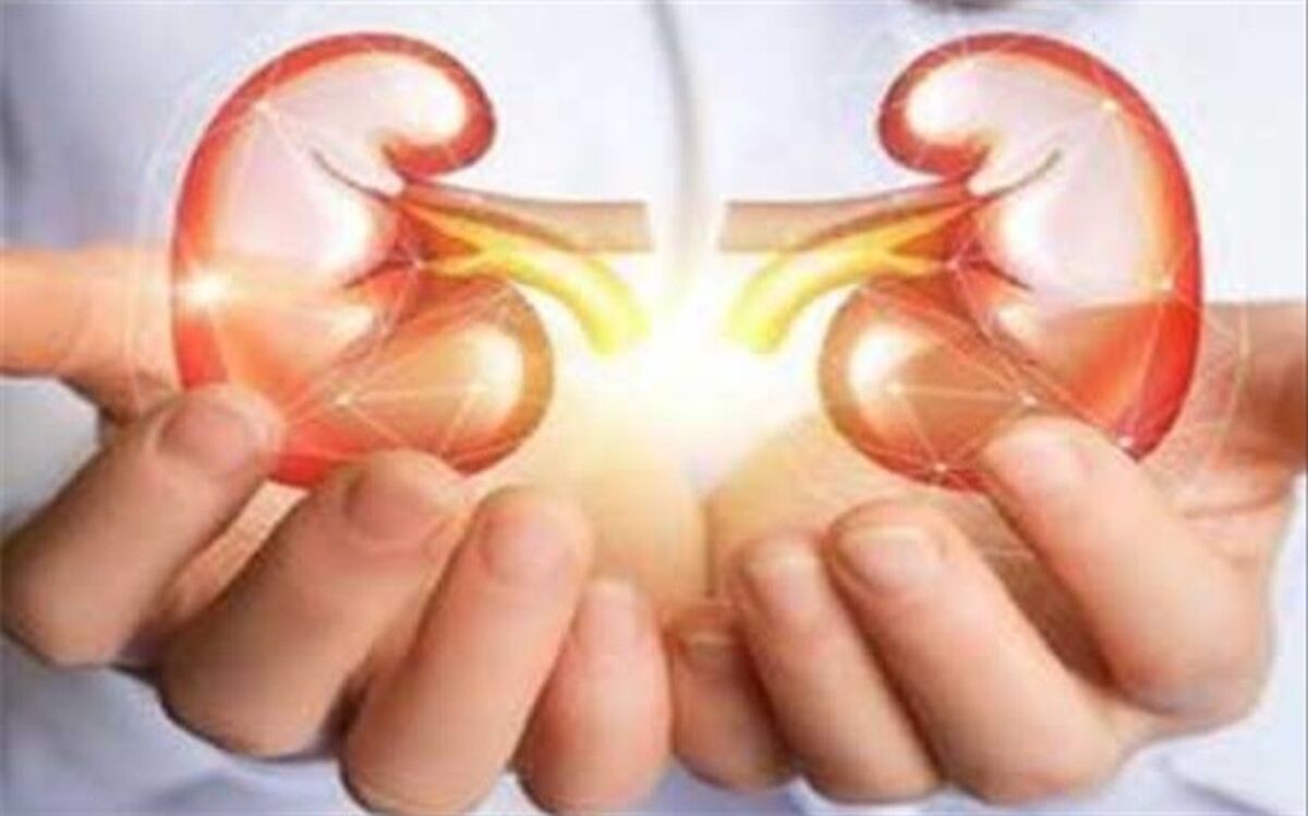 شناسایی ژن‌های موثر در بیماری پلی‌کیستیک کلیه در ایران
