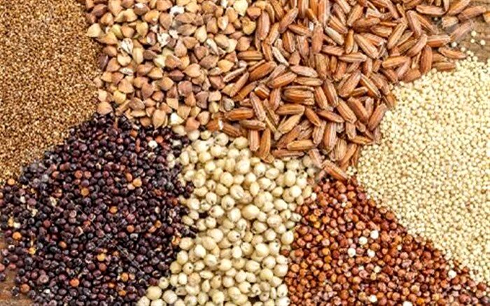 لزوم افزایش ۳۰ درصدی ظرفیت جوجه‌ریزی زنجیره‌های پرورش