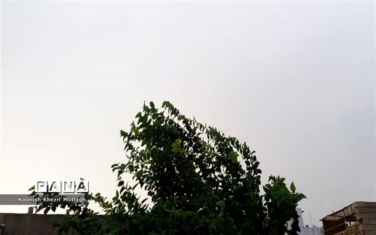 سقوط ۸۰ اصله درخت و سه تابلودر اثر طوفان روز گذشته