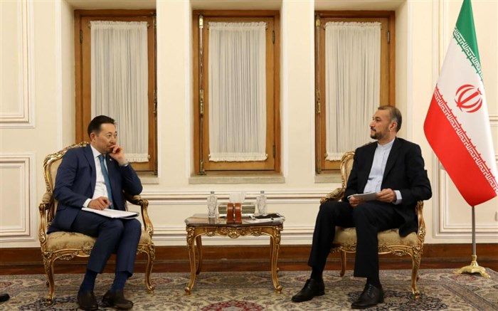 تاکید امیرعبداللهیان بر ضرورت تقویت ظرفیت‌های سیکا