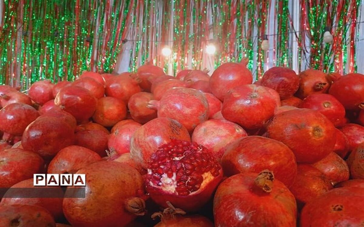 کدام میوه‌ها برای خونسازی در بدن مفید هستند؟