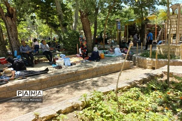 گلابگیری درمنطقه نیاسرشهرستان کاشان