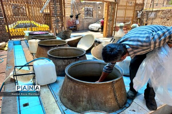 گلابگیری درمنطقه نیاسرشهرستان کاشان