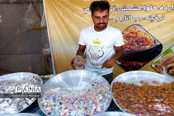 گلابگیری درمنطقه نیاسرشهرستان کاشان