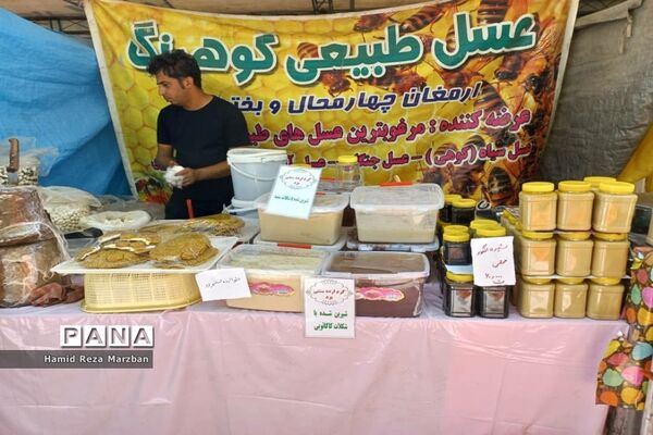 گلابگیری درمنطقه نیاسرشهرستان کاشان