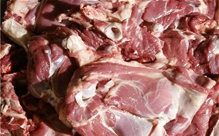 توقیف کانتینرهای حاوی ۶۰ تُن مرغ و گوشت احتکاری در تهران