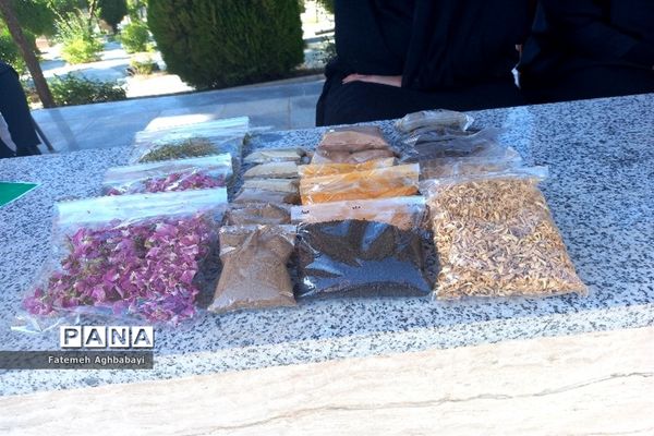 همایش پیاده‌روی امام رضایی‌ها در شهرکرد