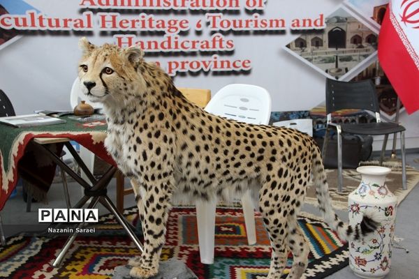 نخستین نمایشگاه گردشگری جهان اسلام