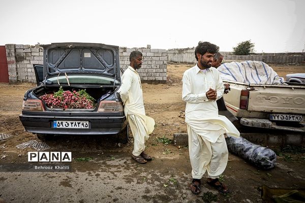 زندگی در چابهار جریان دارد