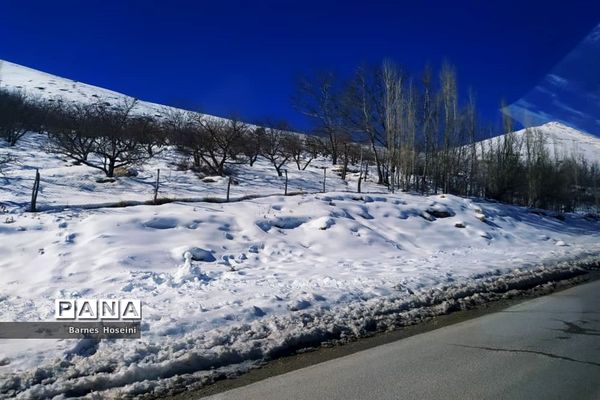 سپیدان سپیدپوش شد