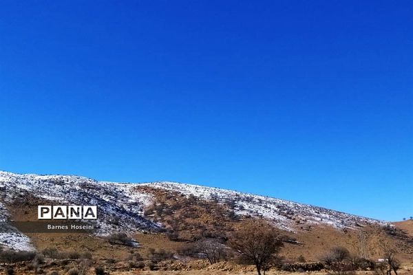 سپیدان سپیدپوش شد