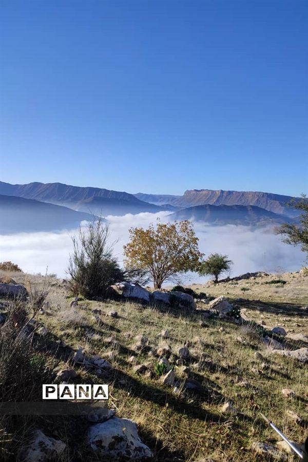 صعودگروه کوهنوردی کوهیاران مسجدسلیمان به کوه کمرو