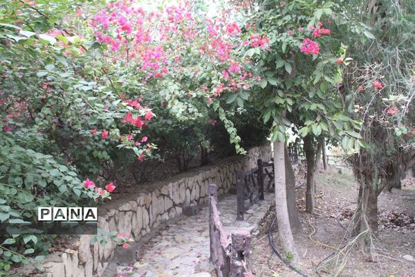 طبیعت زیبای بهبهان